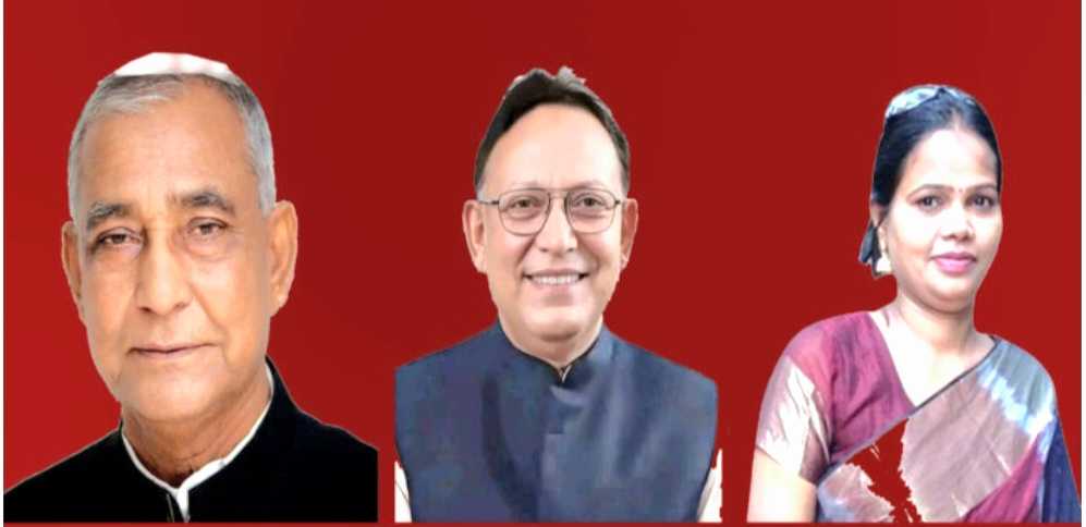 কমলগঞ্জ উপজেলা নির্বাচনে তিন পদে মনোনয়ন পত্র জমা দিলেন ১১ জন প্রার্থী