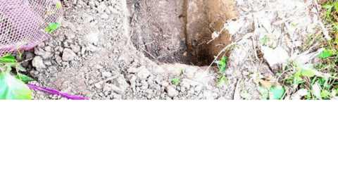 কবর দেয়ার পূর্বে কেঁদে উঠলো “মৃত” নবজাতক