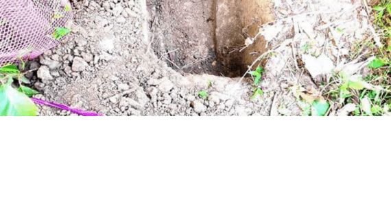 কবর দেয়ার পূর্বে কেঁদে উঠলো “মৃত” নবজাতক